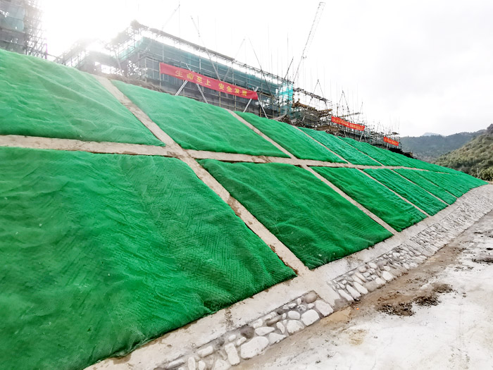 三維植被網護坡項目